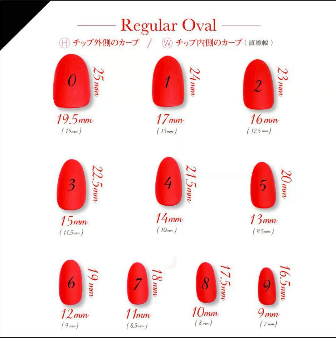 上品ベージュニュアンスネイル｜ゴールドライン＆パール｜ブライダル・オフィス｜大人かわいいネイルチップ 056 9枚目