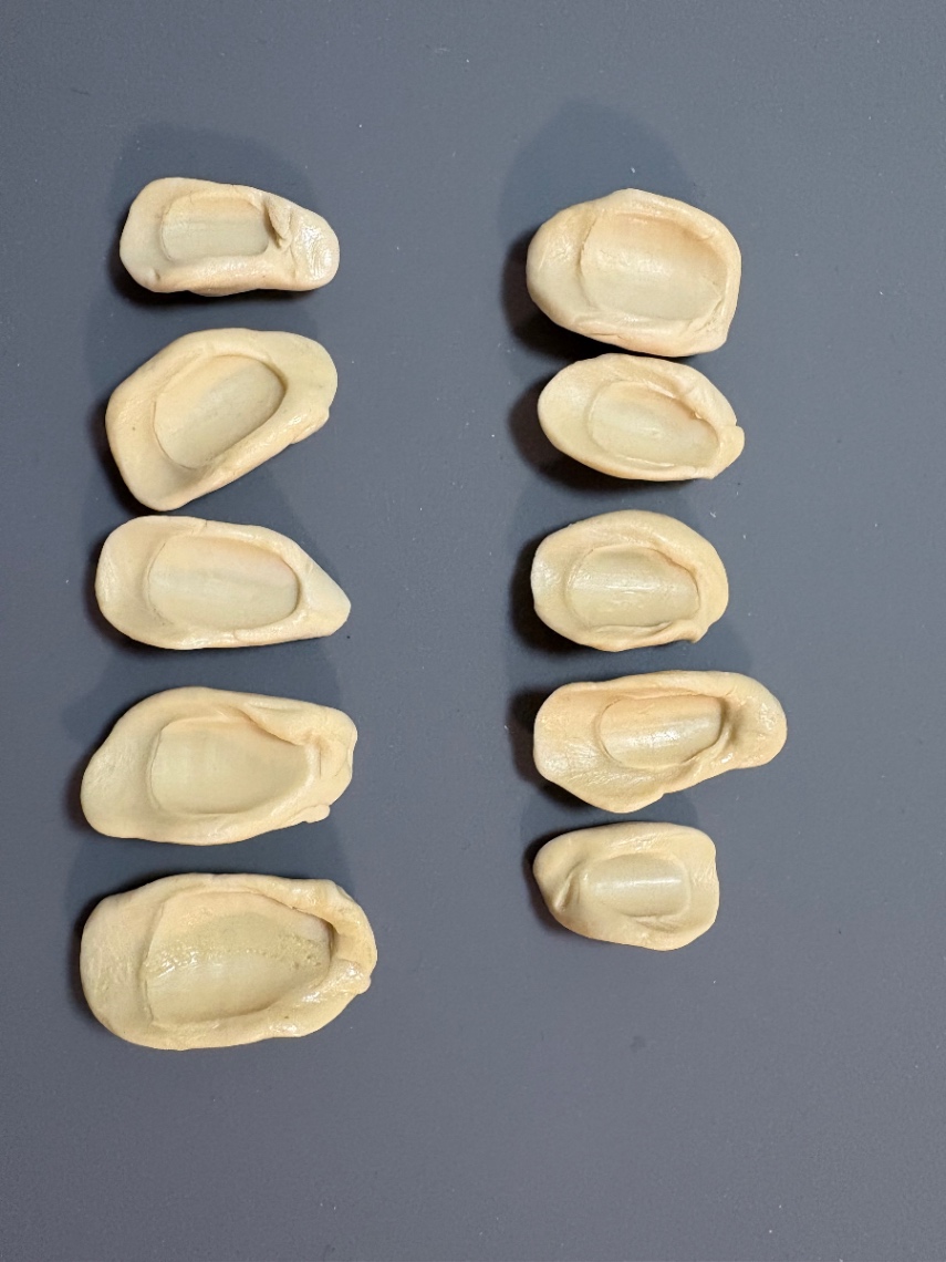 【型取りフルオーダー】
爪の形から作る精密ネイルチップ｜プロネイリストによる共同制作・完全デザイン相談制 3枚目