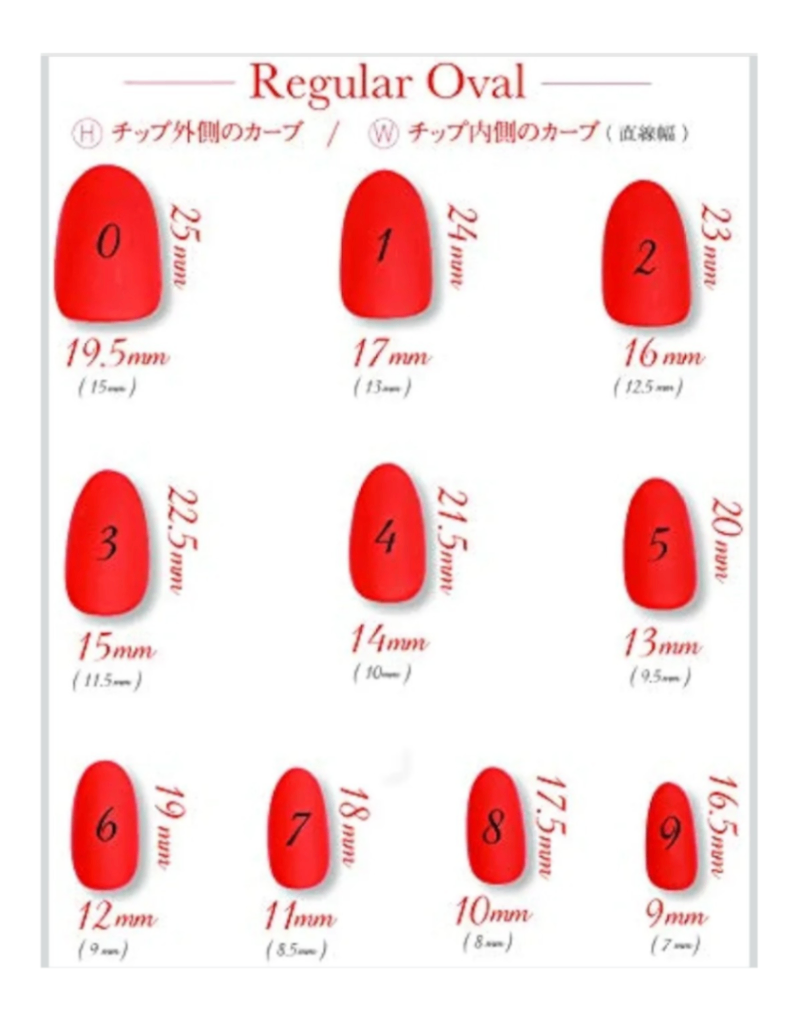 測定用クリアネイルチップのみ 2枚目
